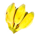 Lady Finger Banana - Organic  有機牛奶蕉