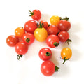 Cherry Tomatoes - Organic  有機車厘茄 ~300g