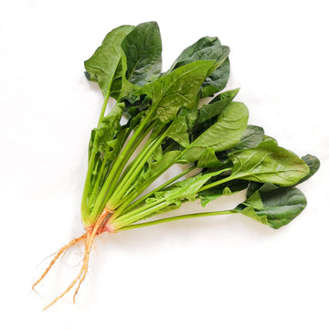Spinach  菠菜 600g