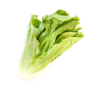 Romaine Lettuce - Organic  有機羅文生菜 ~300g