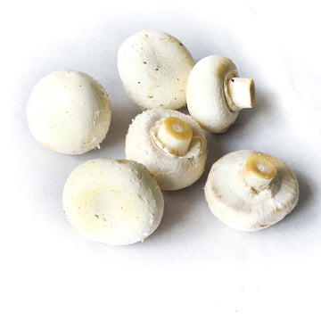 White Mushroom - Organic  有機白蘑菇 ~200g