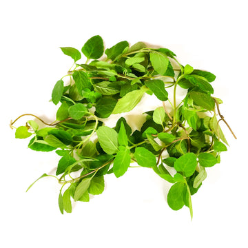 Mint Leaves - Organic  有機薄荷葉 9g