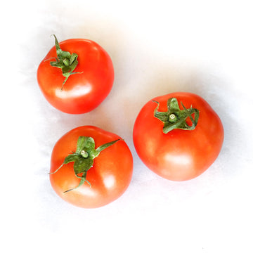 Tomato  番茄 ~600g