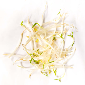 Bean Sprouts  芽菜 ~300g