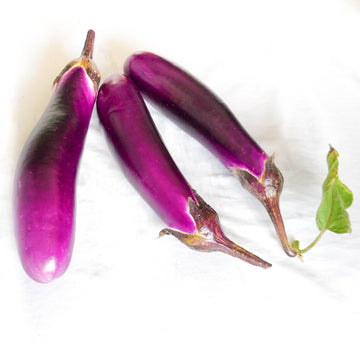 Eggplant - Organic  有機茄子 300g