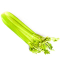 Celery  西芹 ~500g