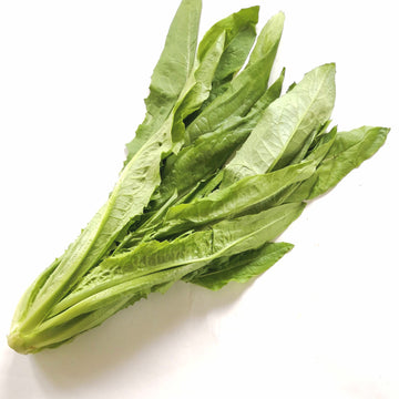 Indian Lettuce - Organic  有機油麥菜 ~300g
