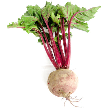 Beetroot - Organic  有機紅菜頭 ~350g