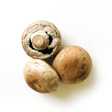 Portobello Mushroom - Organic  有機燒烤菇 2 pcs