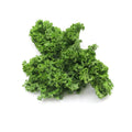 Kale - Organic  有機羽衣甘藍 ~200g