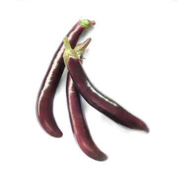 Eggplant  茄子 ~500g