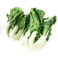 Pok Choi (Chinese White Cabbage)  白菜(學斗) 600g